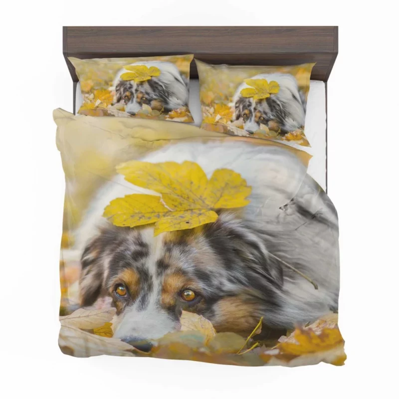 Australian Shepherd Fall Beauty Bedding Set 1