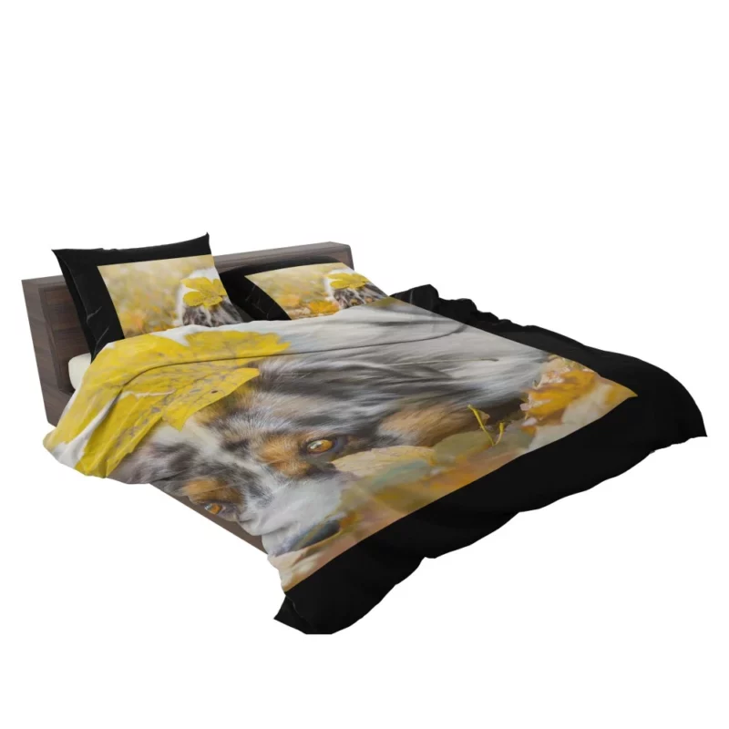 Australian Shepherd Fall Beauty Bedding Set 2