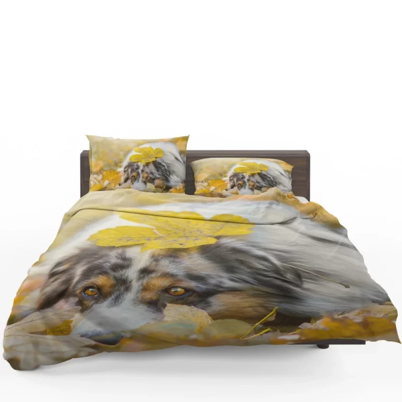 Australian Shepherd Fall Beauty Bedding Set