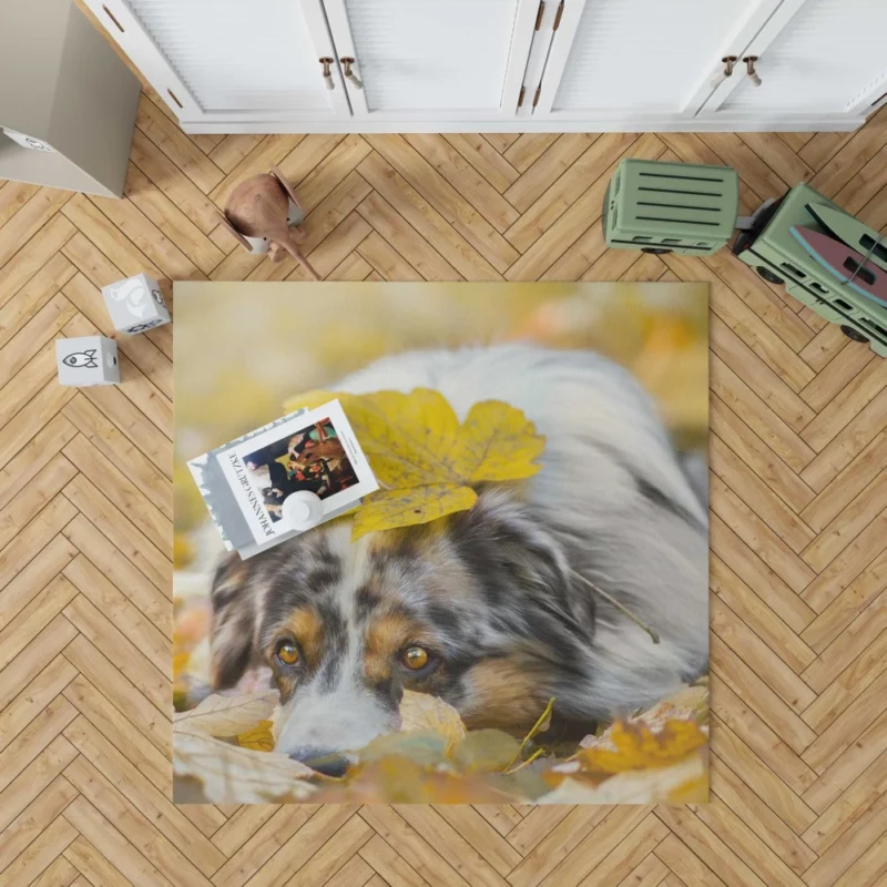 Australian Shepherd Fall Beauty Rug