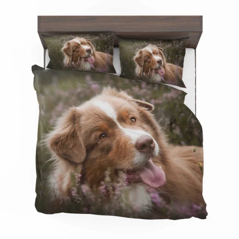 Australian Shepherd Focus Bedding Set 1