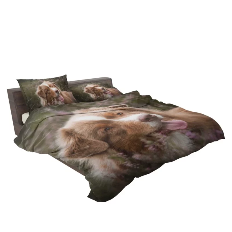 Australian Shepherd Focus Bedding Set 2