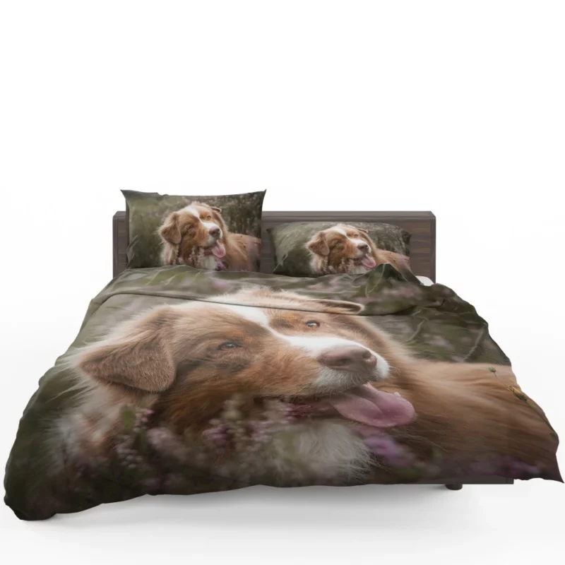 Australian Shepherd Focus Bedding Set