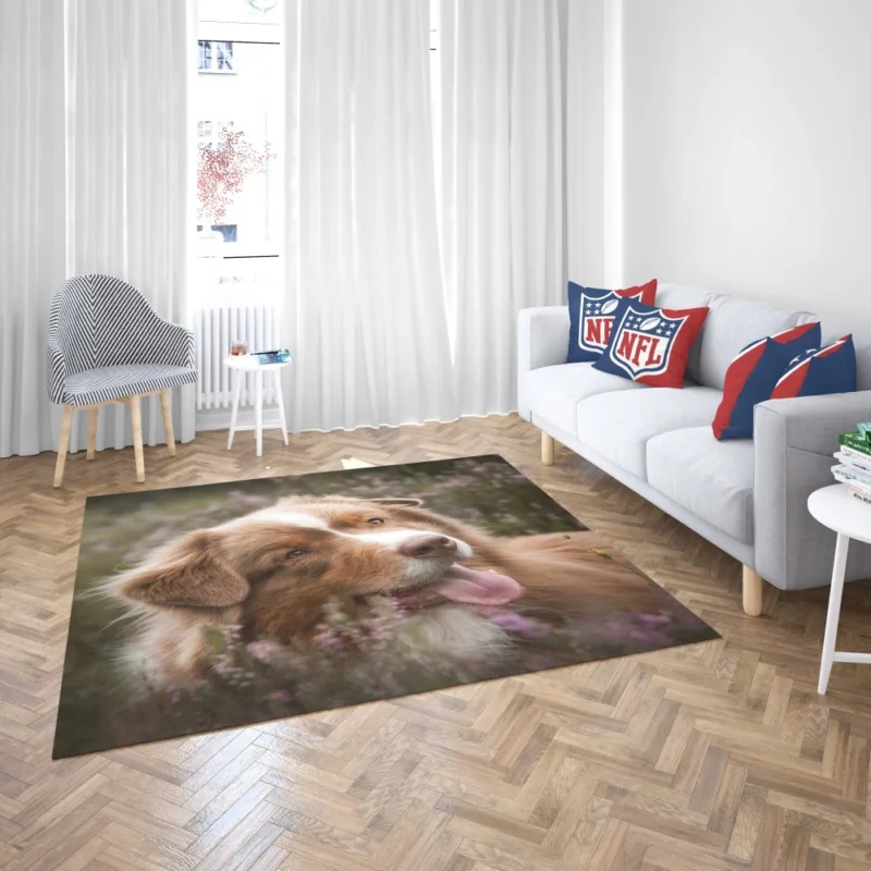 Australian Shepherd Focus Rug 2