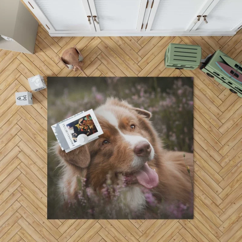 Australian Shepherd Focus Rug