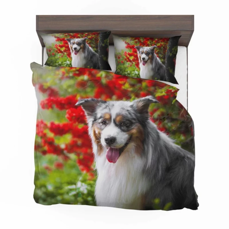 Australian Shepherd Graceful Aura Bedding Set 1