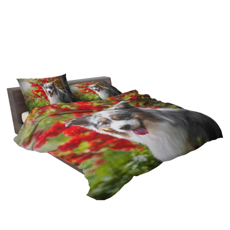 Australian Shepherd Graceful Aura Bedding Set 2