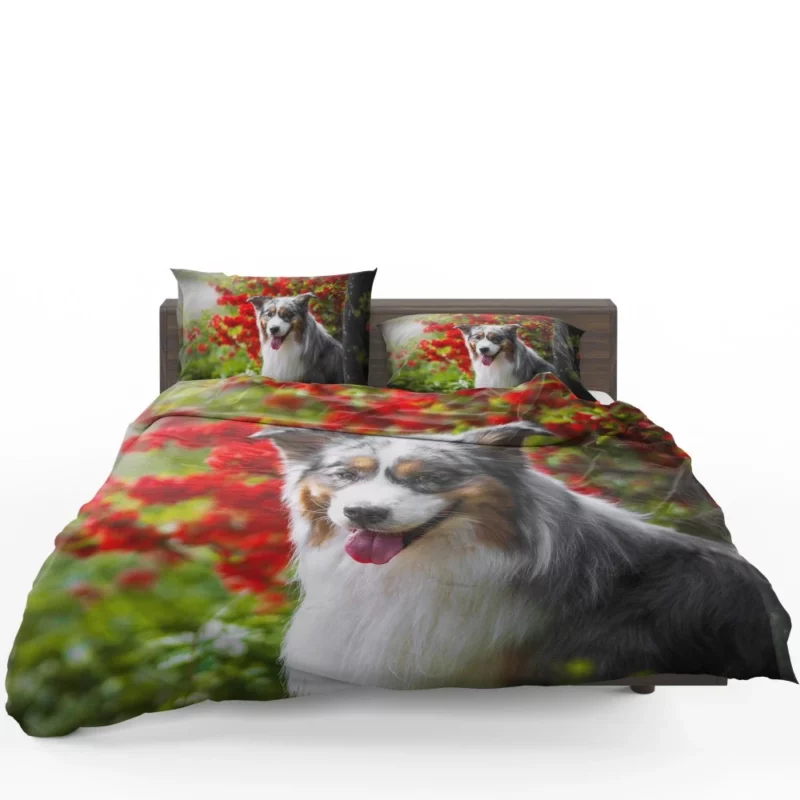 Australian Shepherd Graceful Aura Bedding Set