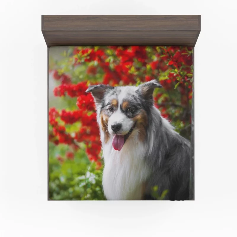 Australian Shepherd Graceful Aura Fitted Sheet 1