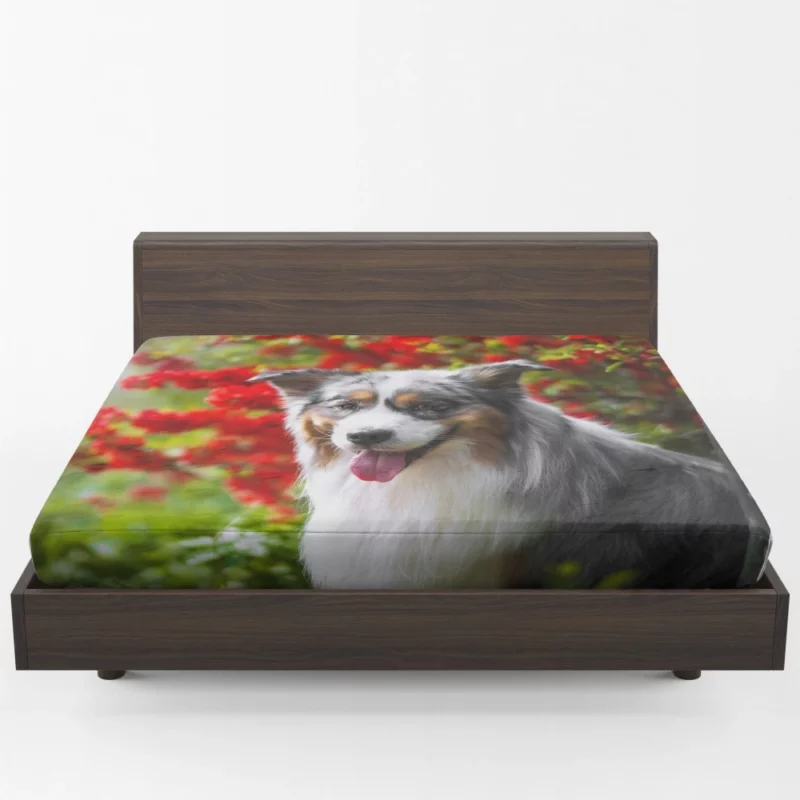 Australian Shepherd Graceful Aura Fitted Sheet