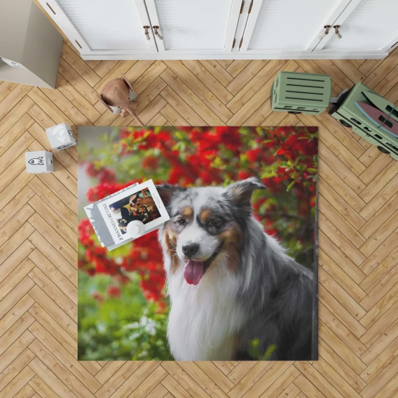 Australian Shepherd Graceful Aura Rug