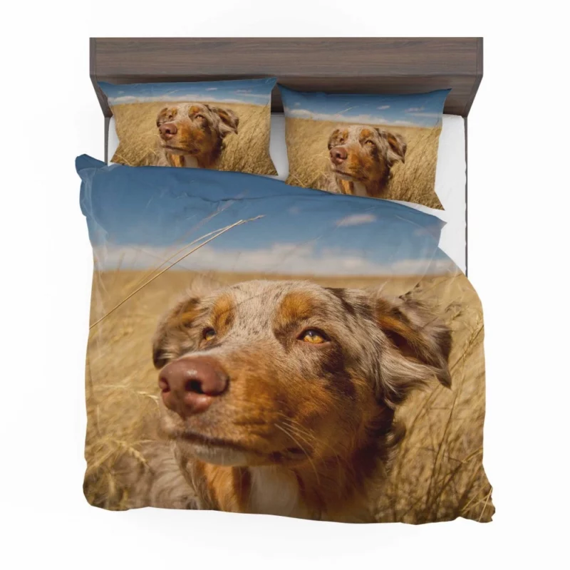 Australian Shepherd Head Canine Majesty Bedding Set 1