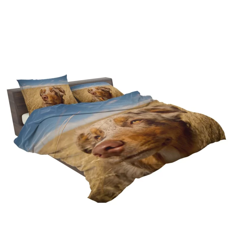 Australian Shepherd Head Canine Majesty Bedding Set 2