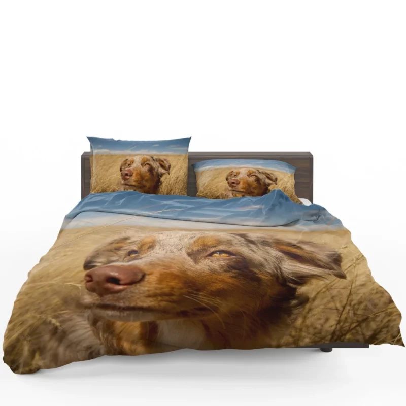 Australian Shepherd Head Canine Majesty Bedding Set