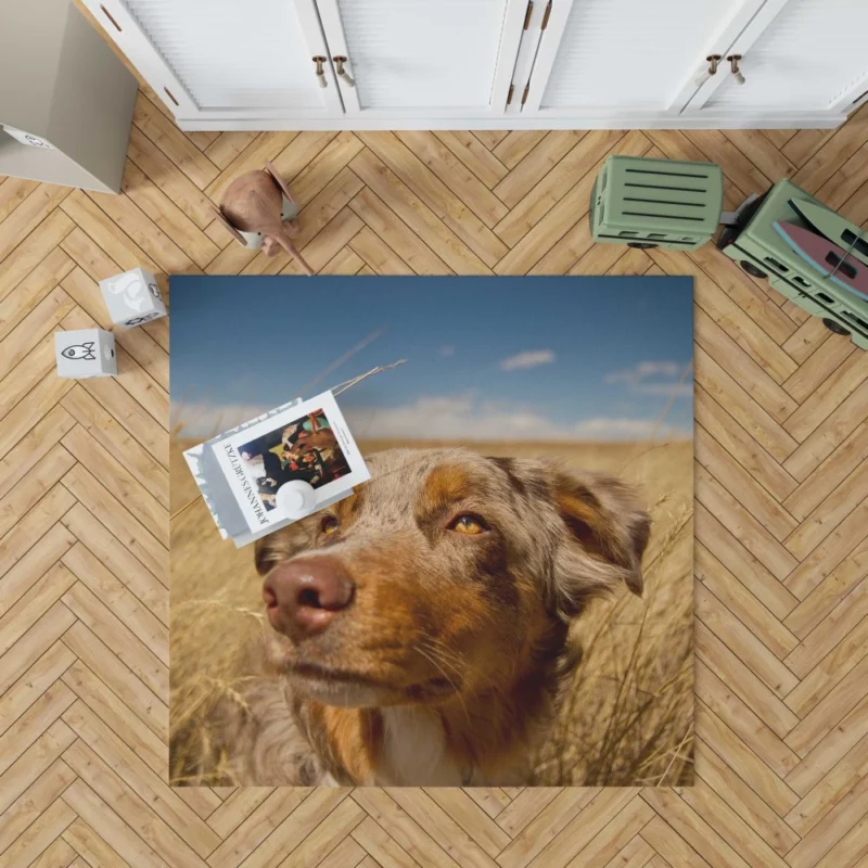 Australian Shepherd Head Canine Majesty Rug