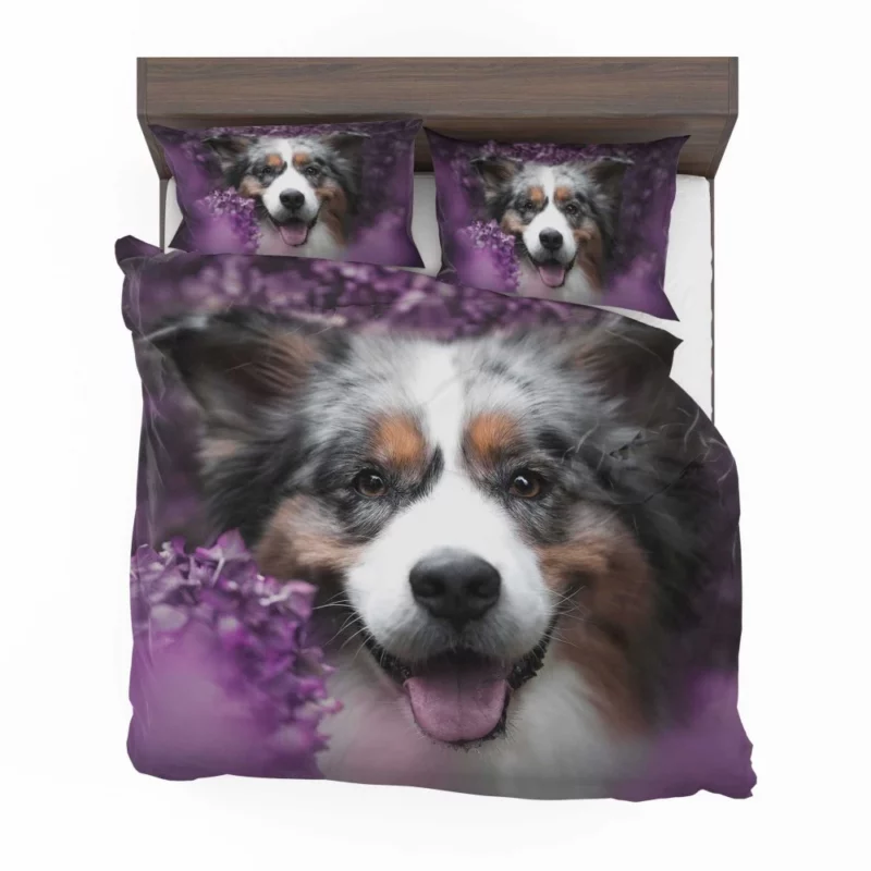 Australian Shepherd Intensity Bedding Set 1