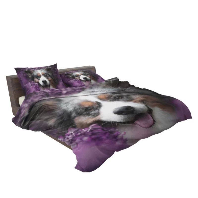 Australian Shepherd Intensity Bedding Set 2