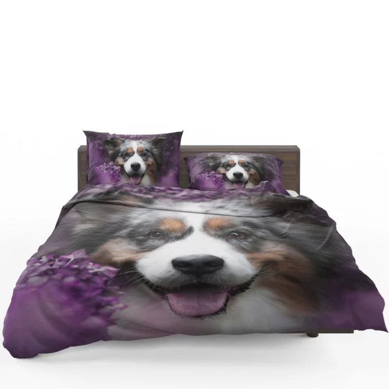 Australian Shepherd Intensity Bedding Set