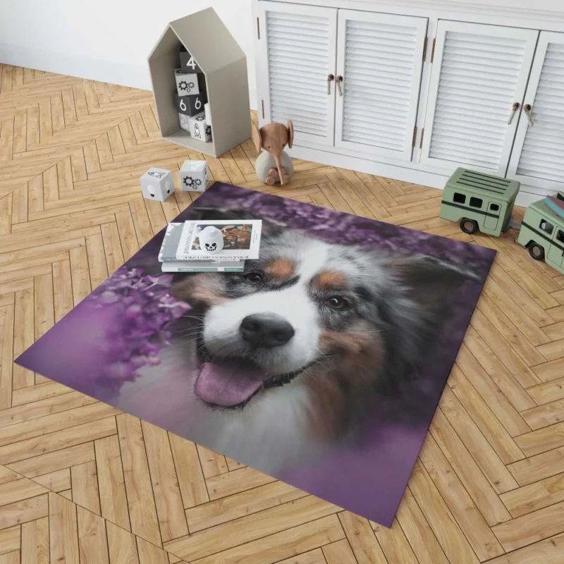 Australian Shepherd Intensity Rug 1