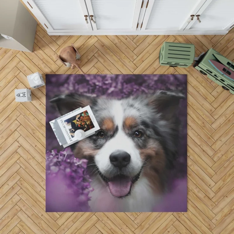 Australian Shepherd Intensity Rug