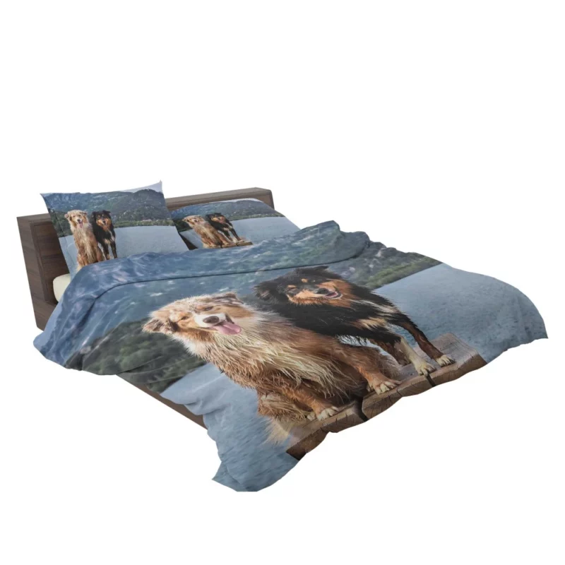 Australian Shepherd Lake Adventure Bedding Set 2