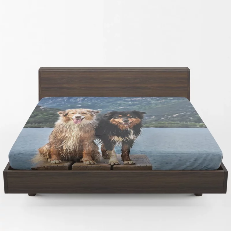 Australian Shepherd Lake Adventure Fitted Sheet