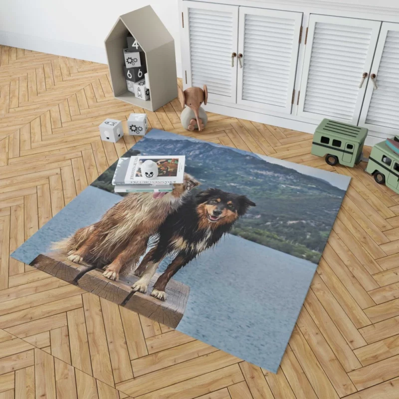 Australian Shepherd Lake Adventure Rug 1