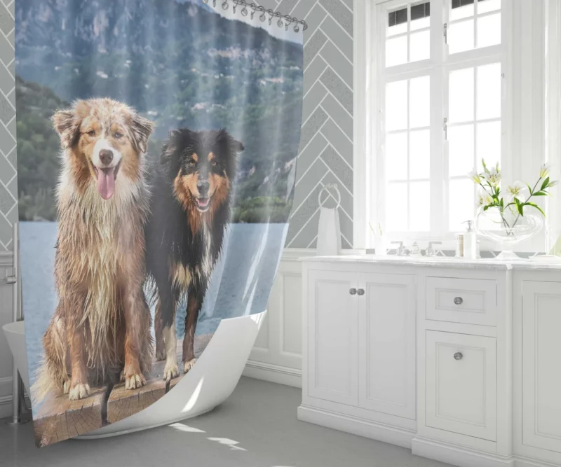 Australian Shepherd Lake Adventure Shower Curtain 1