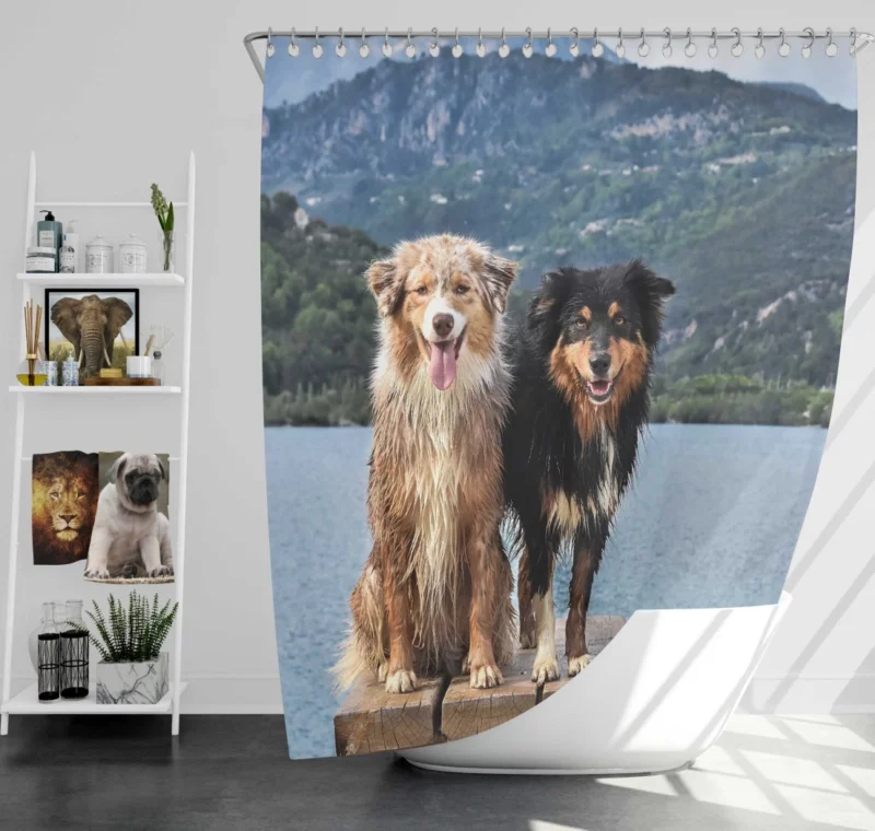 Australian Shepherd Lake Adventure Shower Curtain