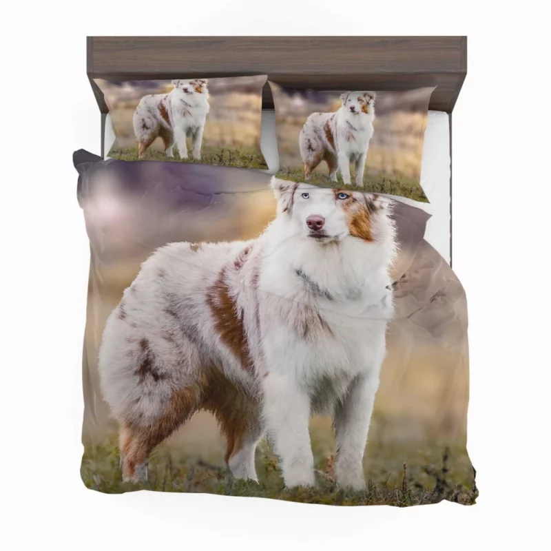 Australian Shepherd Loyal Charm Fuzzy Partner Bedding Set 1