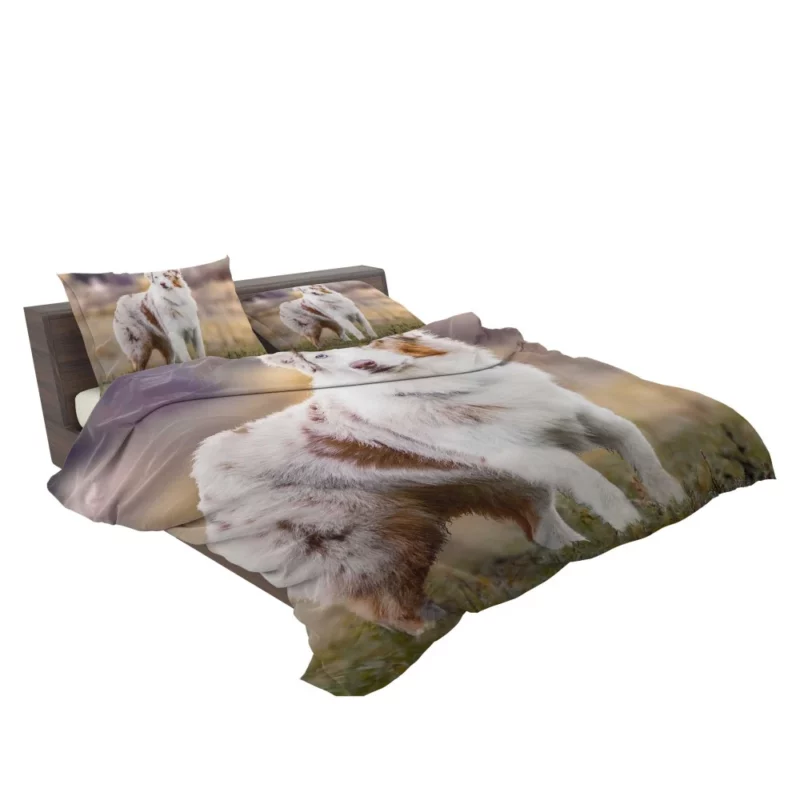 Australian Shepherd Loyal Charm Fuzzy Partner Bedding Set 2