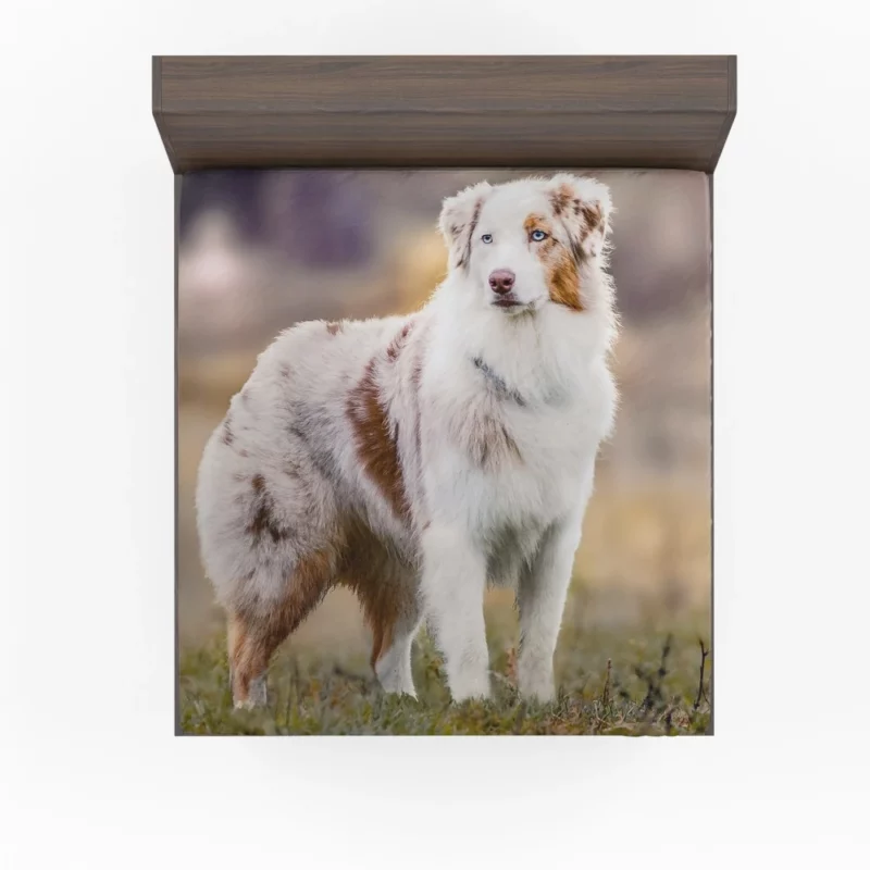 Australian Shepherd Loyal Charm Fuzzy Partner Fitted Sheet 1