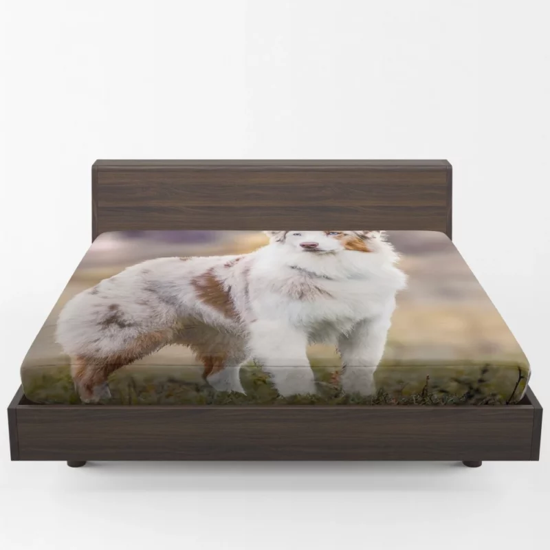 Australian Shepherd Loyal Charm Fuzzy Partner Fitted Sheet