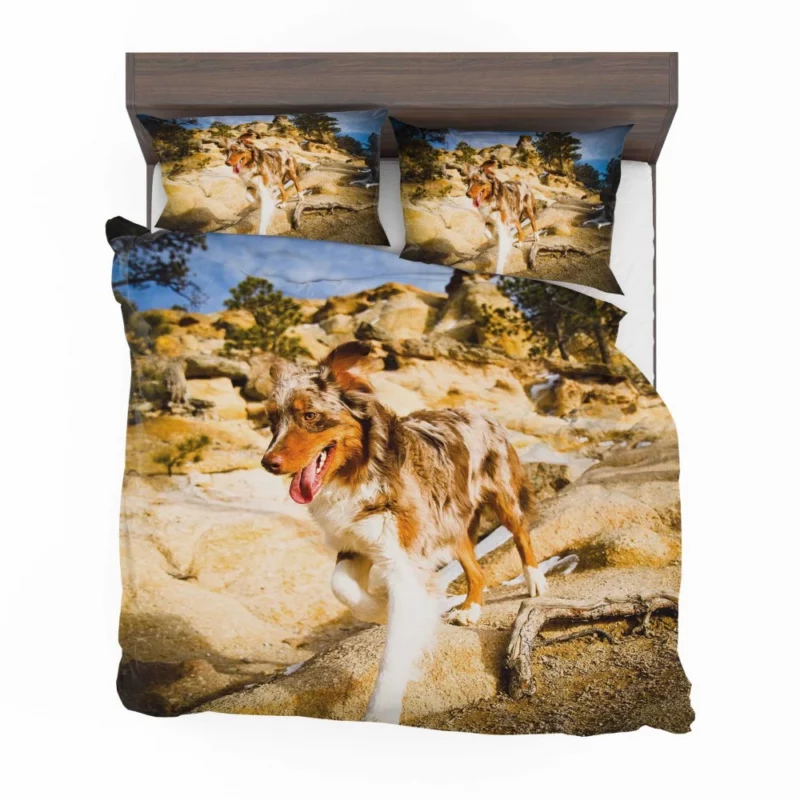 Australian Shepherd Mountain Run Bedding Set 1