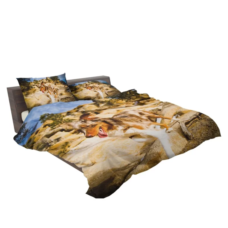 Australian Shepherd Mountain Run Bedding Set 2