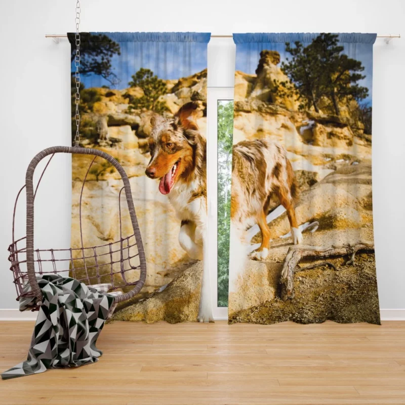 Australian Shepherd Mountain Run Curtain