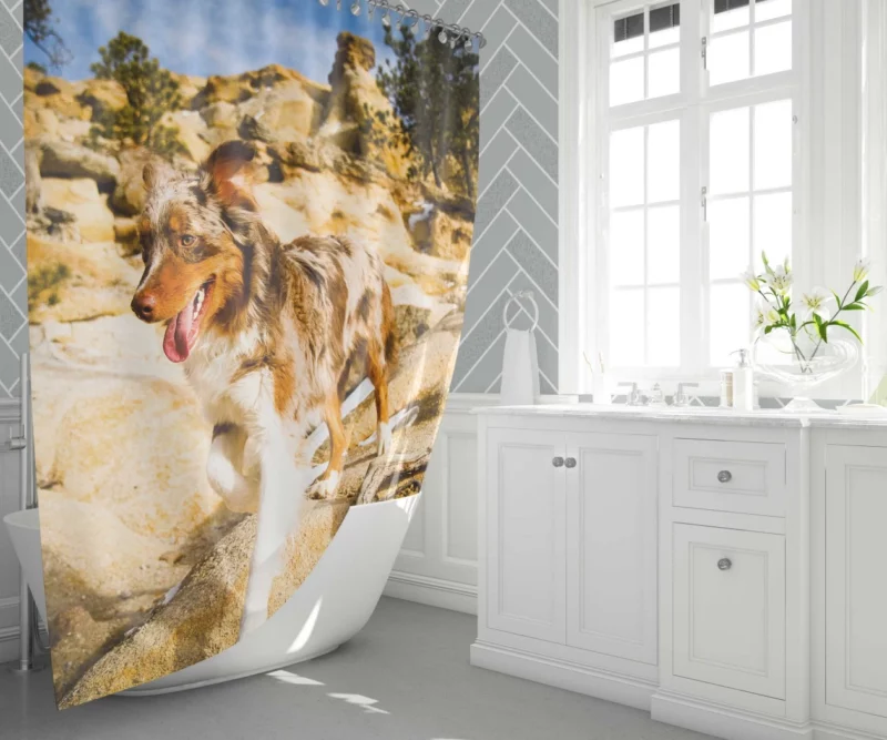 Australian Shepherd Mountain Run Shower Curtain 1