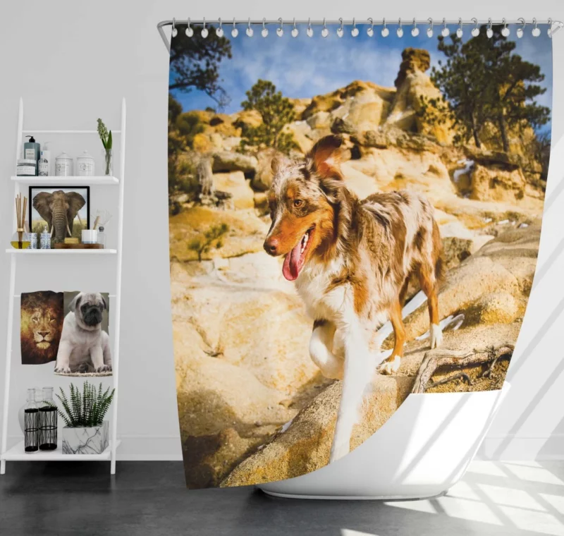 Australian Shepherd Mountain Run Shower Curtain