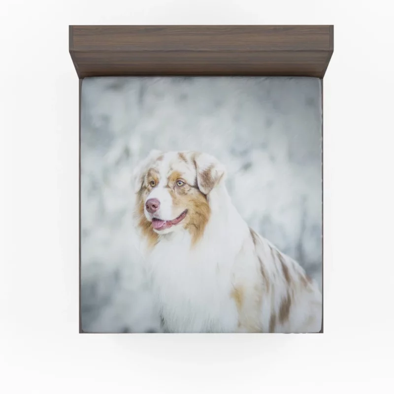 Australian Shepherd Playful Blur Energetic Spirit Fitted Sheet 1