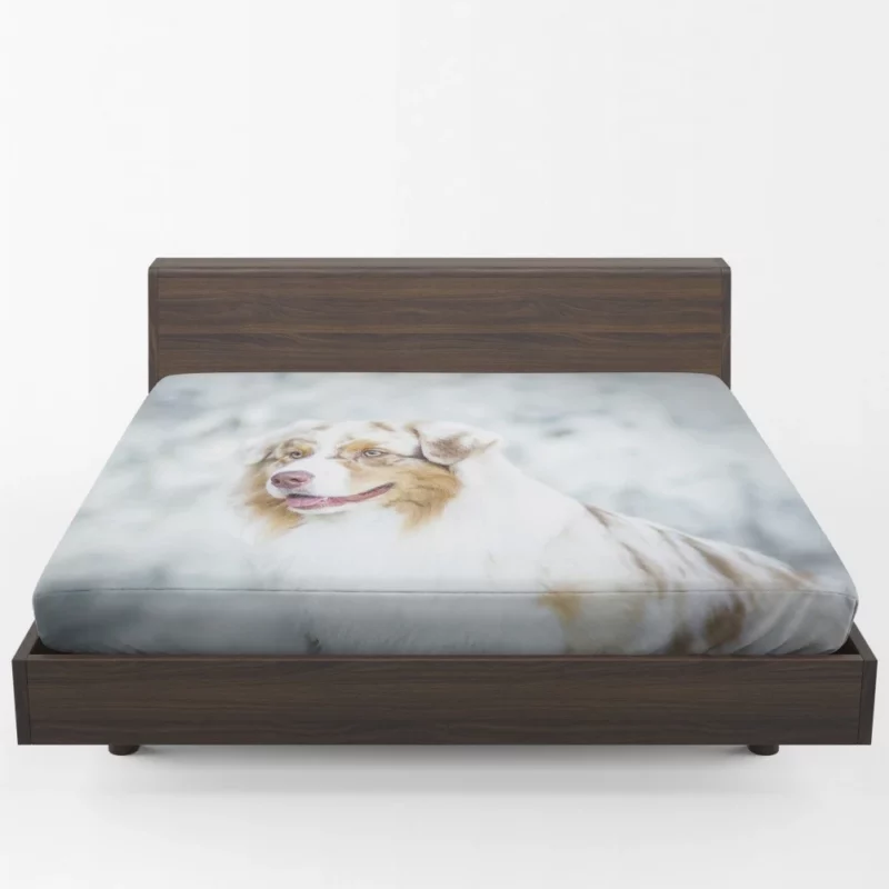 Australian Shepherd Playful Blur Energetic Spirit Fitted Sheet