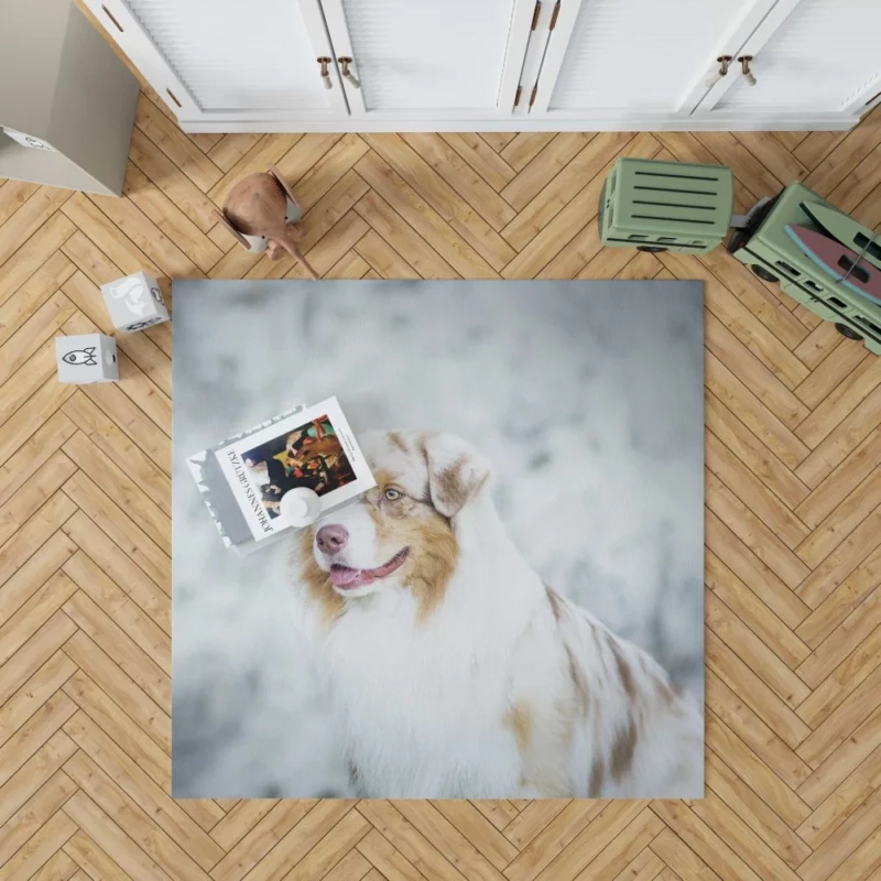 Australian Shepherd Playful Blur Energetic Spirit Rug