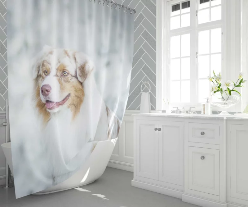 Australian Shepherd Playful Blur Energetic Spirit Shower Curtain 1