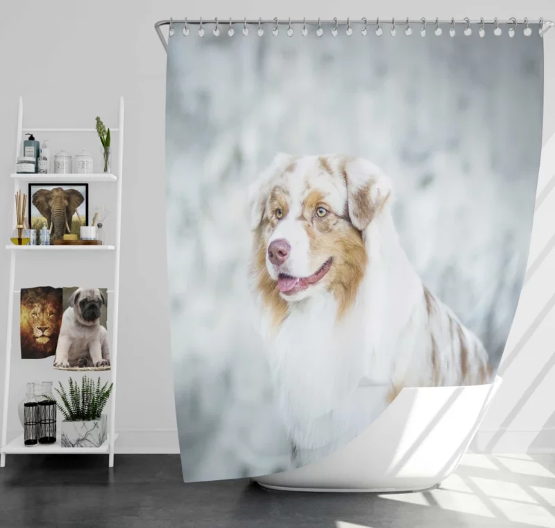 Australian Shepherd Playful Blur Energetic Spirit Shower Curtain