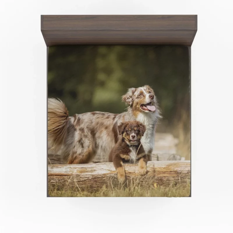 Australian Shepherd Playful Innocence Fitted Sheet 1