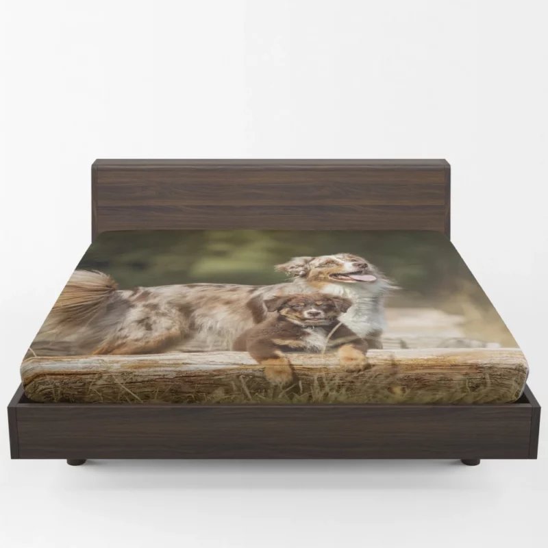 Australian Shepherd Playful Innocence Fitted Sheet