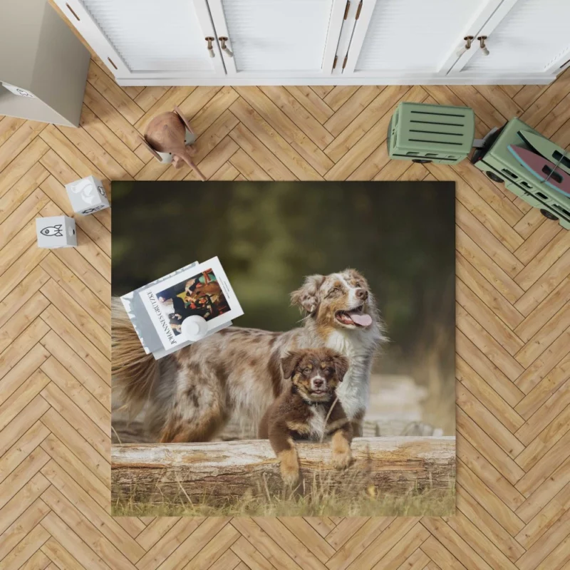 Australian Shepherd Playful Innocence Rug