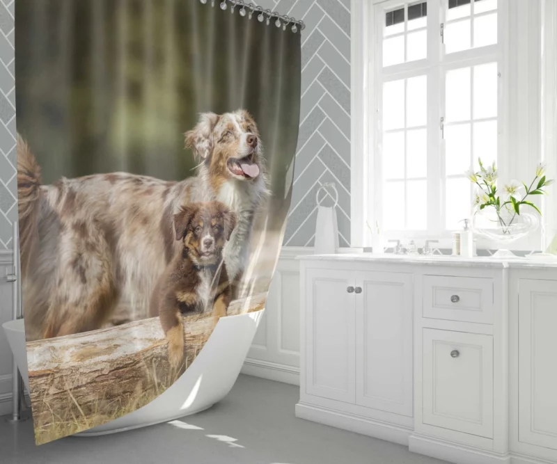 Australian Shepherd Playful Innocence Shower Curtain 1