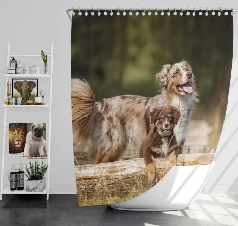 Australian Shepherd Playful Innocence Shower Curtain