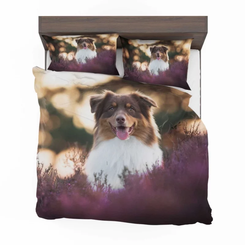 Australian Shepherd Playful Lavender Moments Bedding Set 1