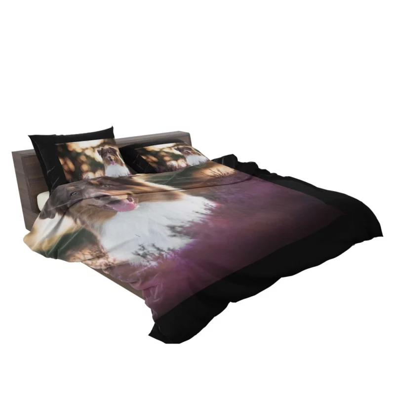 Australian Shepherd Playful Lavender Moments Bedding Set 2